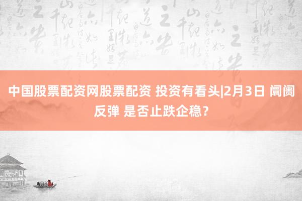 中国股票配资网股票配资 投资有看头|2月3日 阛阓反弹 是否止跌企稳？