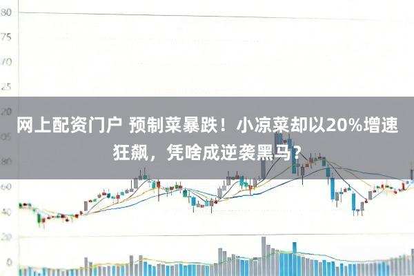 网上配资门户 预制菜暴跌！小凉菜却以20%增速狂飙，凭啥成逆袭黑马？