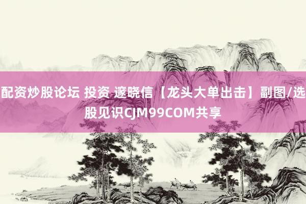 配资炒股论坛 投资 邃晓信【龙头大单出击】副图/选股见识CJM99COM共享