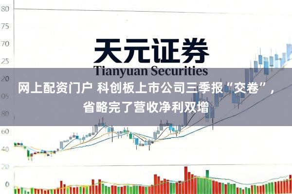 网上配资门户 科创板上市公司三季报“交卷”，省略完了营收净利双增