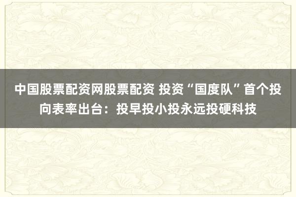 中国股票配资网股票配资 投资“国度队”首个投向表率出台：投早投小投永远投硬科技