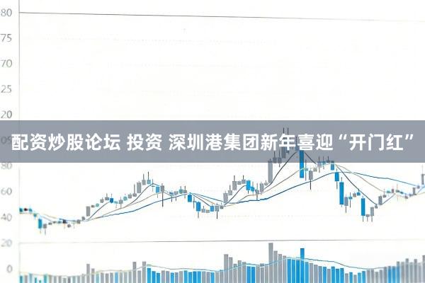 配资炒股论坛 投资 深圳港集团新年喜迎“开门红”