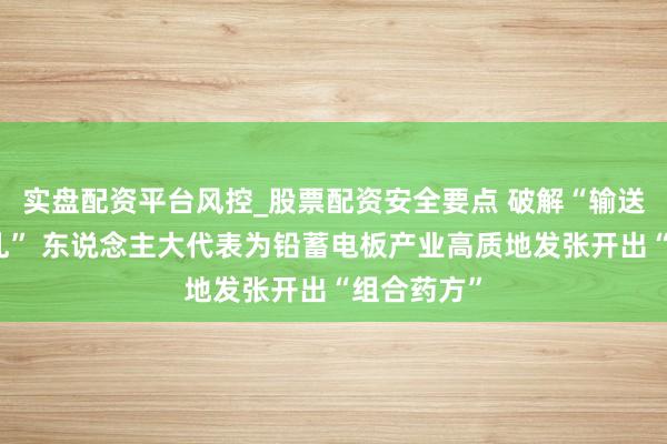 实盘配资平台风控_股票配资安全要点 破解“输送难、回收乱” 东说念主大代表为铅蓄电板产业高质地发张开出“组合药方”
