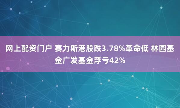 网上配资门户 赛力斯港股跌3.78%革命低 林园基金广发基金浮亏42%
