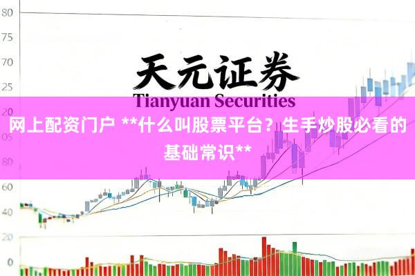 网上配资门户 **什么叫股票平台？生手炒股必看的基础常识**